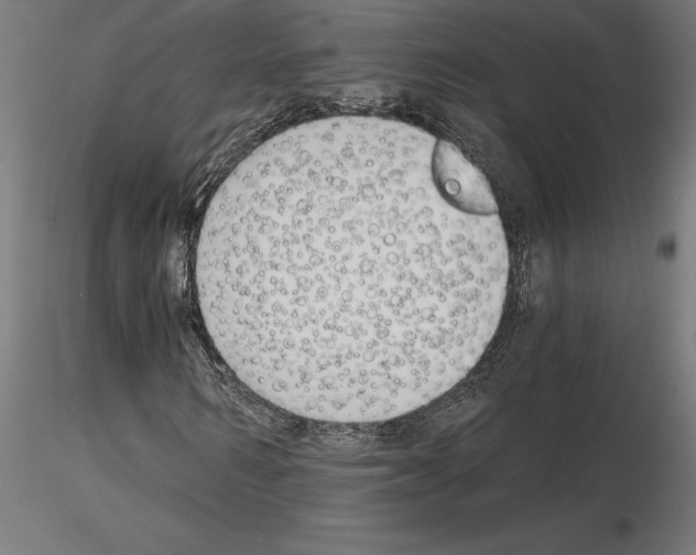 X0000115240962200912111051