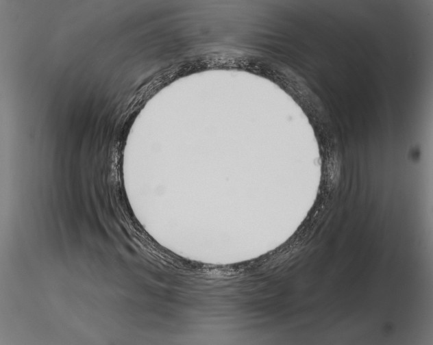 X0000115240964200912111051