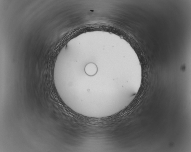 X0000115240965200912111051