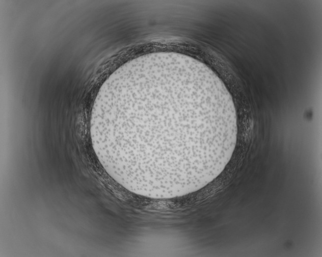 X0000115240966200912111051