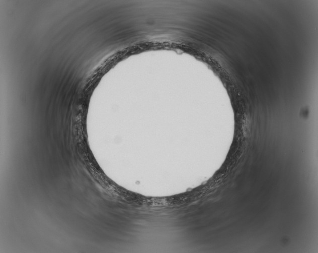 X0000115240968200912111051