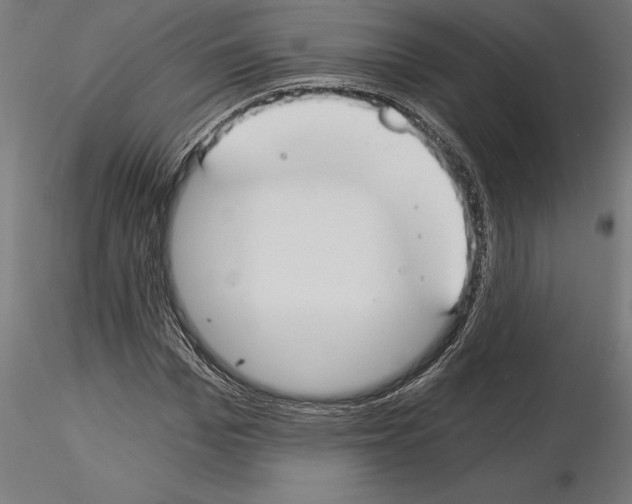 X0000115240969200912111051