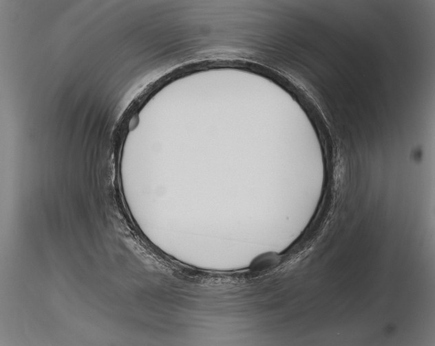 X0000115240973200912111051