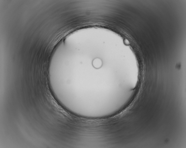 X0000115240977200912111050