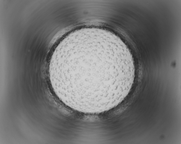 X0000115240978200912111050