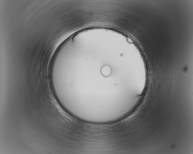 X0000115240981200912111050