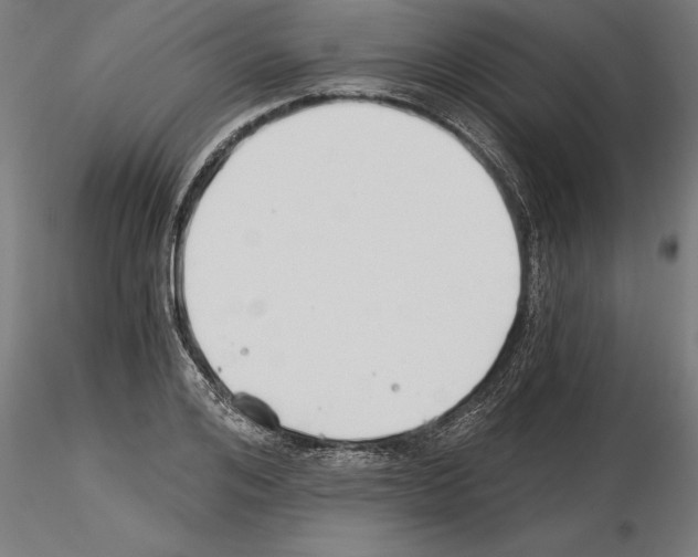 X0000115240984200912111050