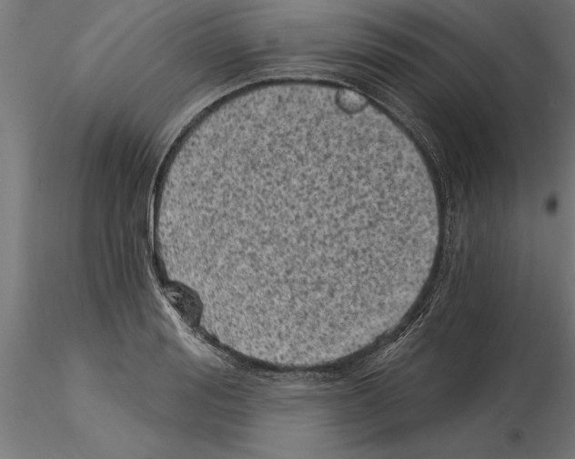 X0000115240988200912111050