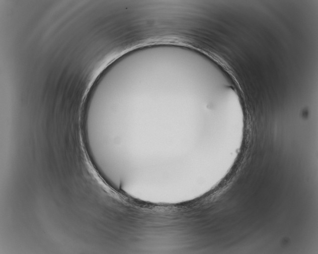 X0000115240989200912111050