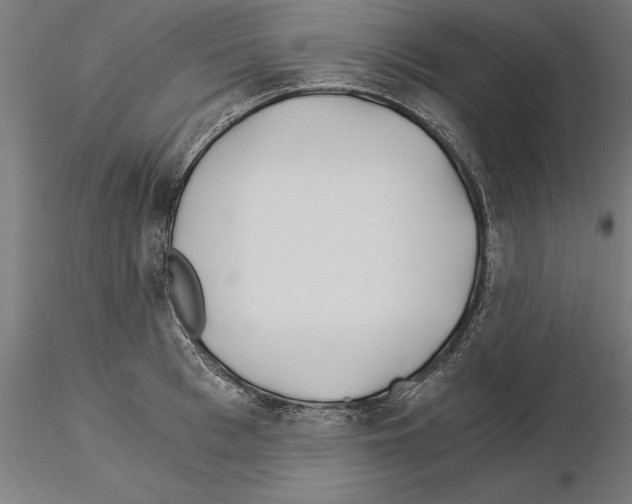 X0000115240993200912111050