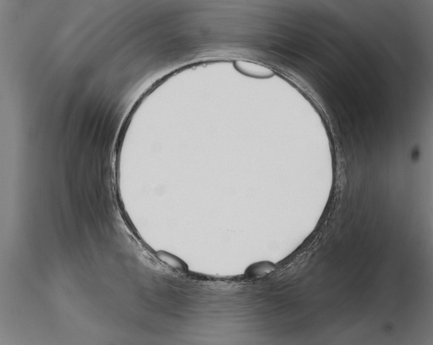 X0000115240996200912111050