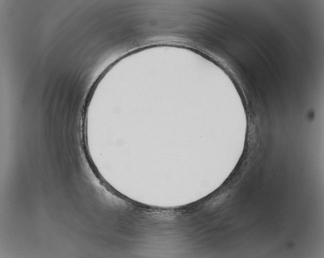 X0000115240999200912111050