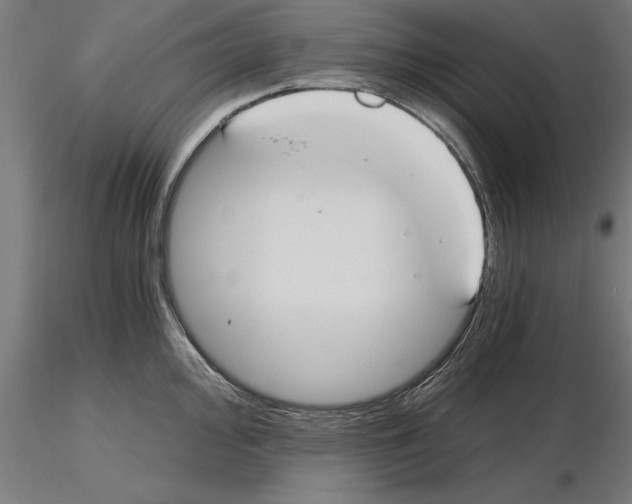 X0000115241000200912111050