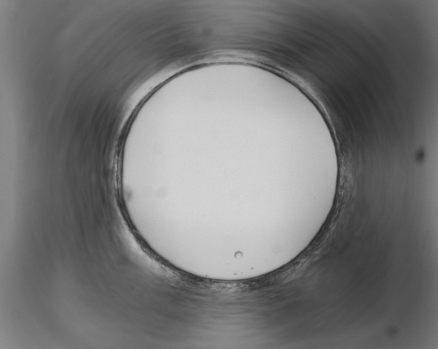 X0000115241003200912111050