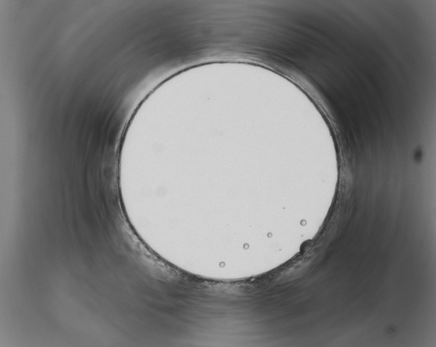 X0000115241004200912111050