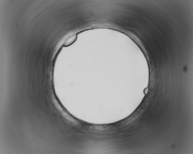 X0000115241005200912111050