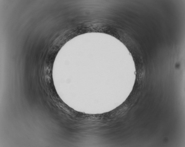 X0000115241010200912111049