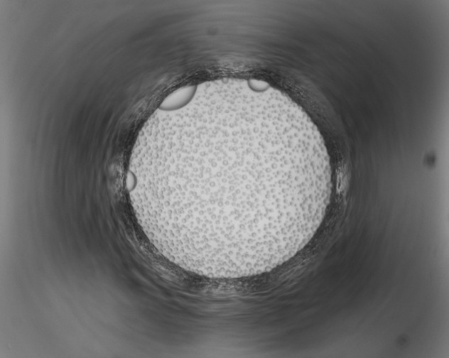 X0000115241011200912111049