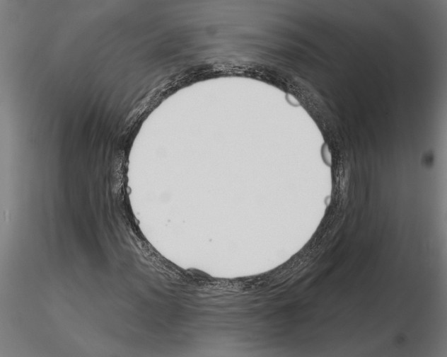 X0000115241012200912111049