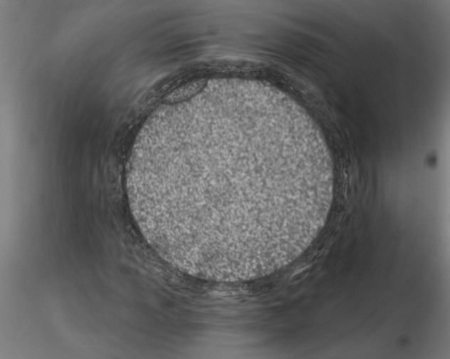 X0000115241013200912111049