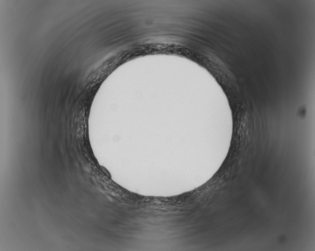 X0000115241014200912111049