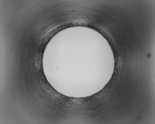 X0000115241015200912111049