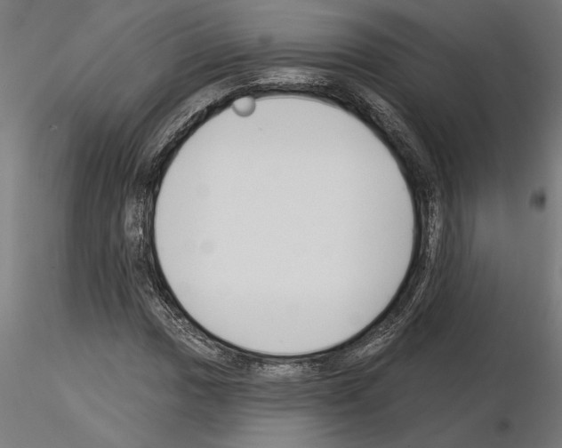 X0000115241017200912111049