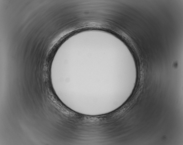 X0000115241019200912111049