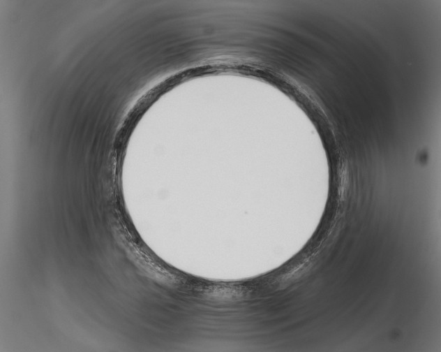 X0000115241021200912111049