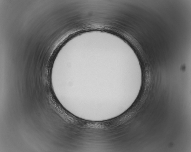 X0000115241023200912111049