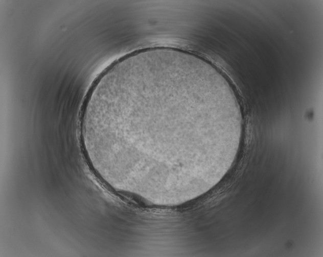 X0000115241024200912111049