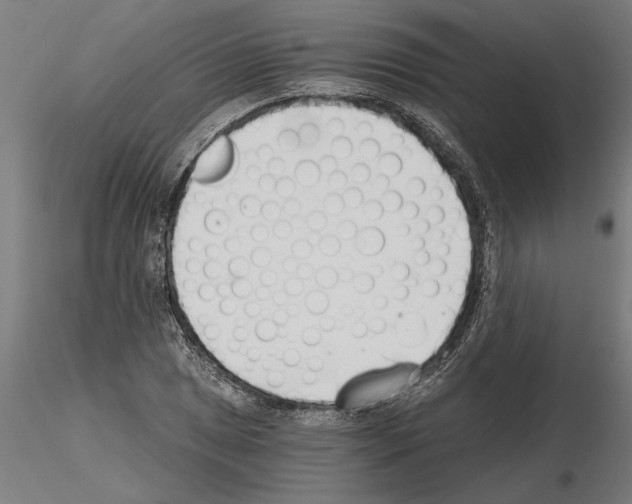 X0000115241025200912111049