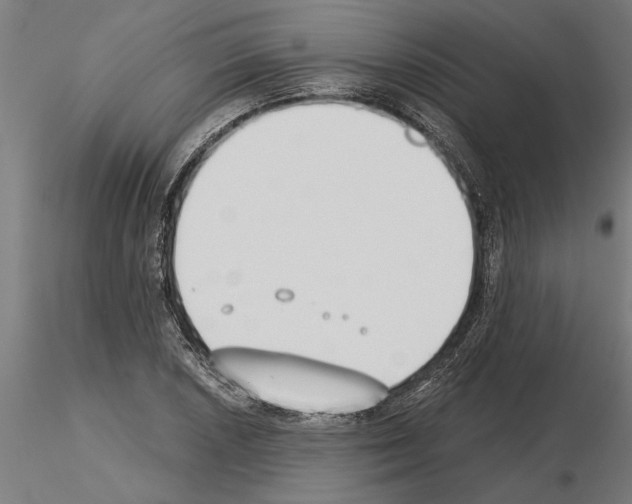 X0000115241026200912111049