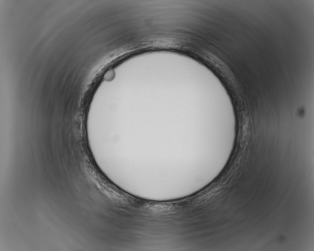 X0000115241027200912111049