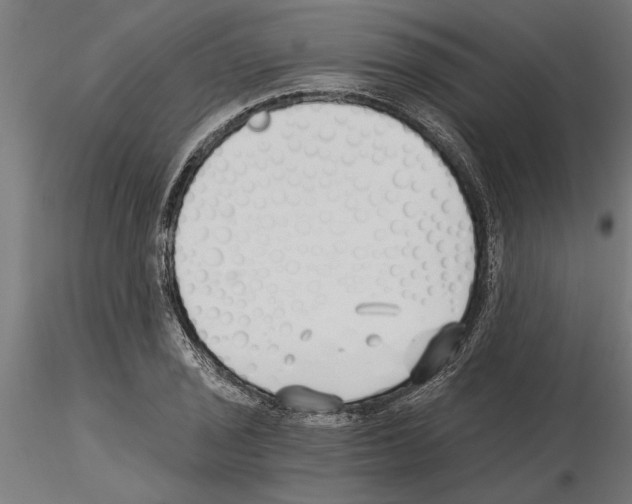 X0000115241029200912111050