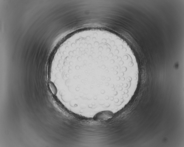 X0000115241030200912111050