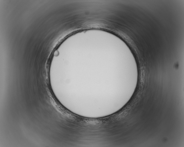 X0000115241031200912111050