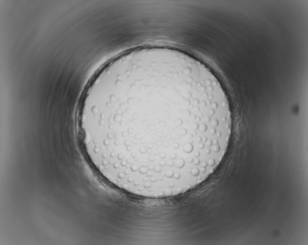 X0000115241032200912111050