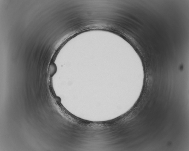 X0000115241034200912111050