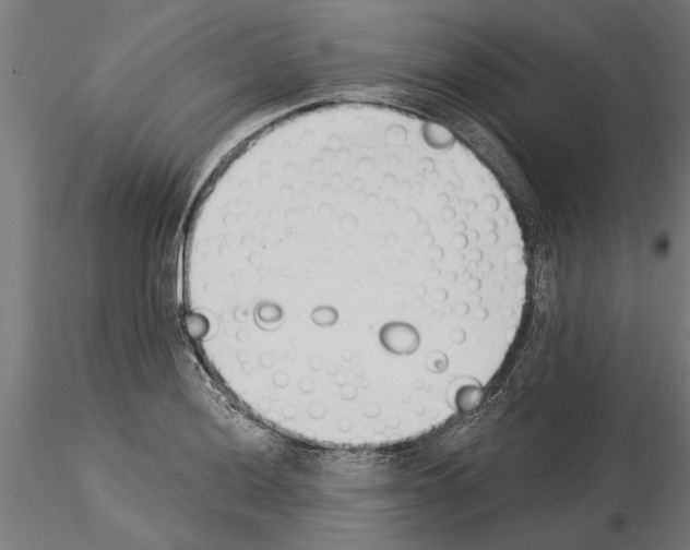 X0000115241036200912111050