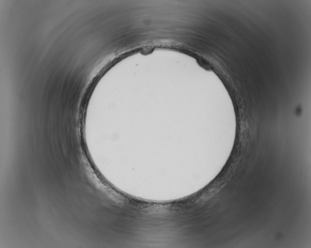 X0000115241038200912111050