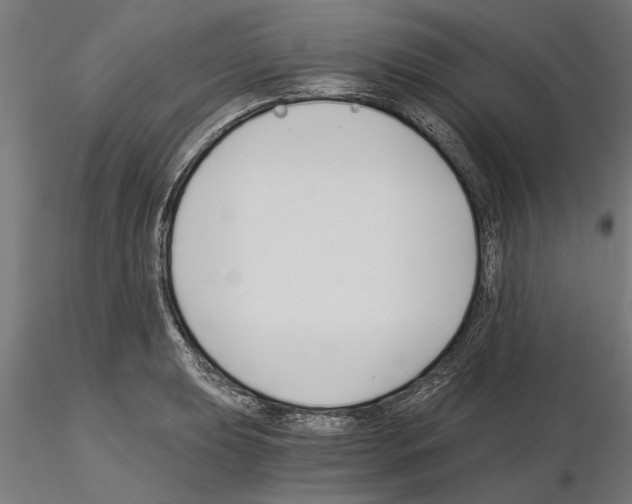 X0000115241039200912111050