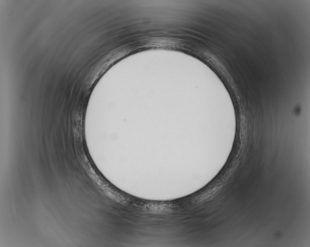 X0000115241041200912111050