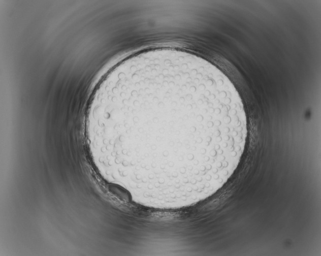 X0000115241044200912111050