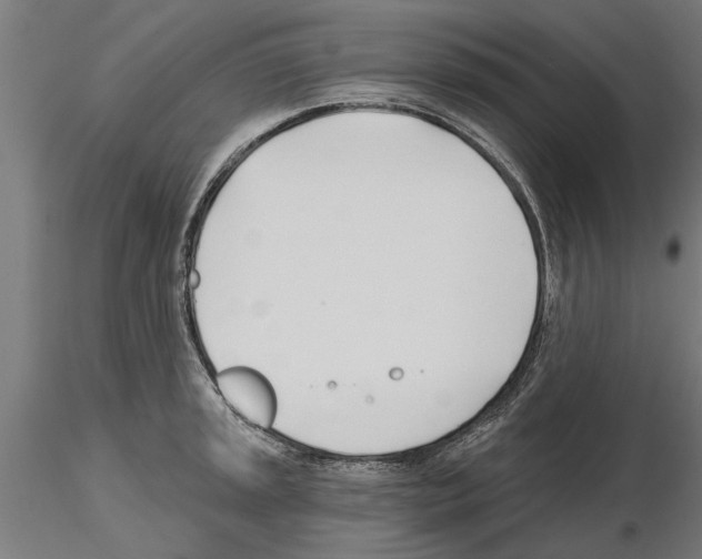 X0000115241045200912111050