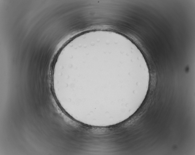 X0000115241046200912111050