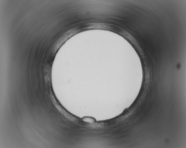 X0000115241049200912111050