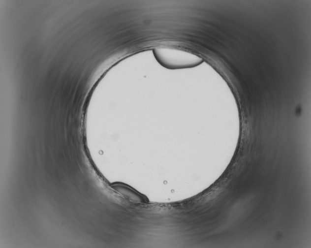 X0000115241050200912111050