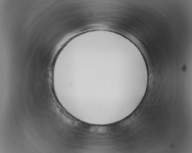 X0000115241051200912111050