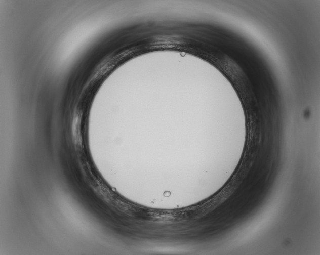 X0000115241054200912111050